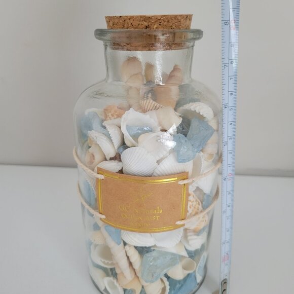 GC Naturals Fragrance Seashell Jar Ocean Mist Scented Beautiful Ocean Décor - Picture 7 of 7
